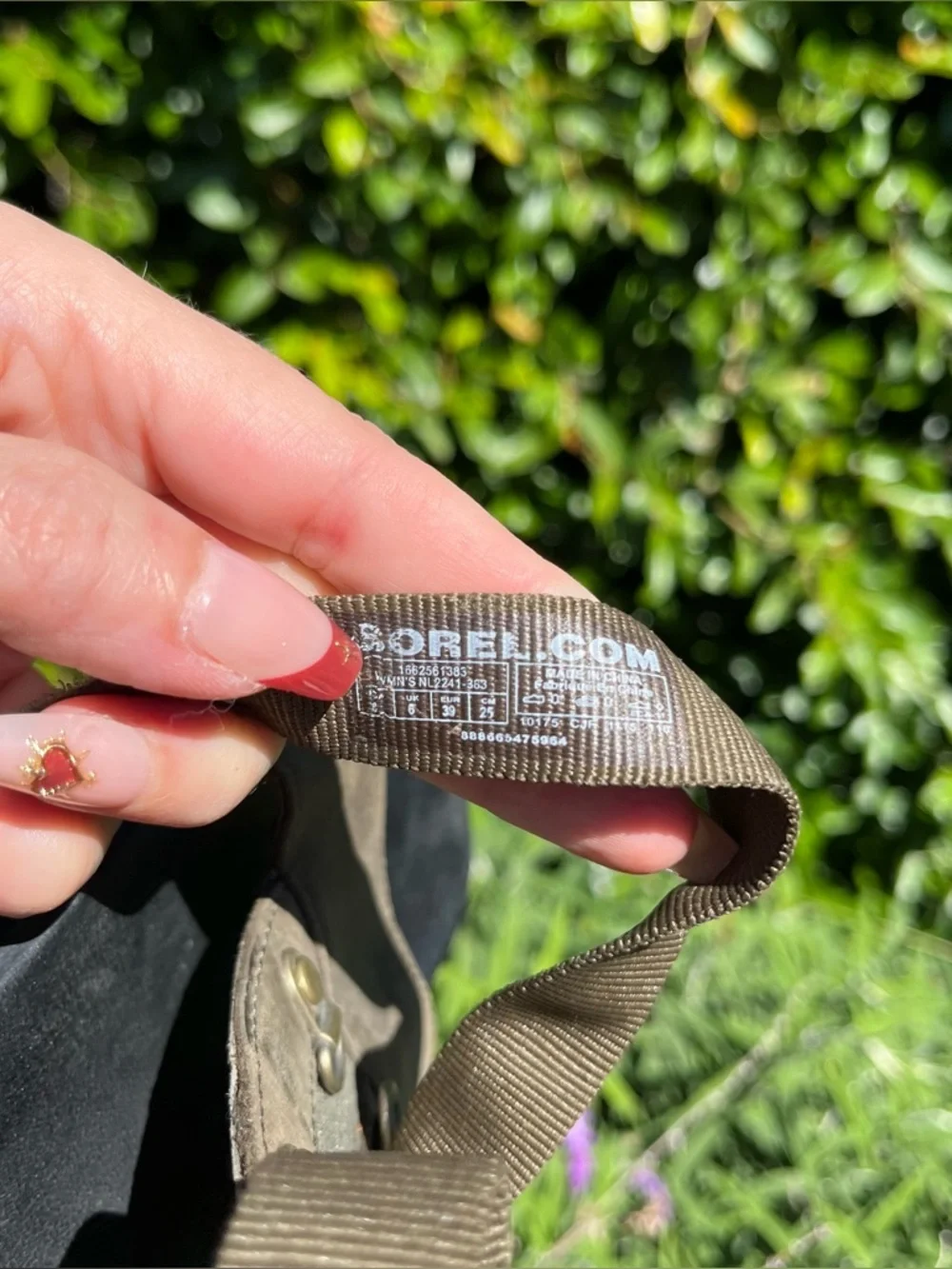 Sorel features torpeda